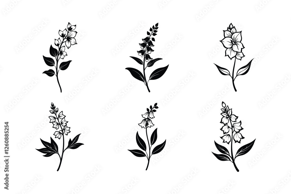 Delphinium (Delphinium spp.) silhouette vector illustration Delphinium (Delphinium spp.) silhouette vector illustration