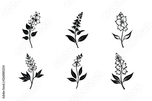 Delphinium (Delphinium spp.) silhouette vector illustration