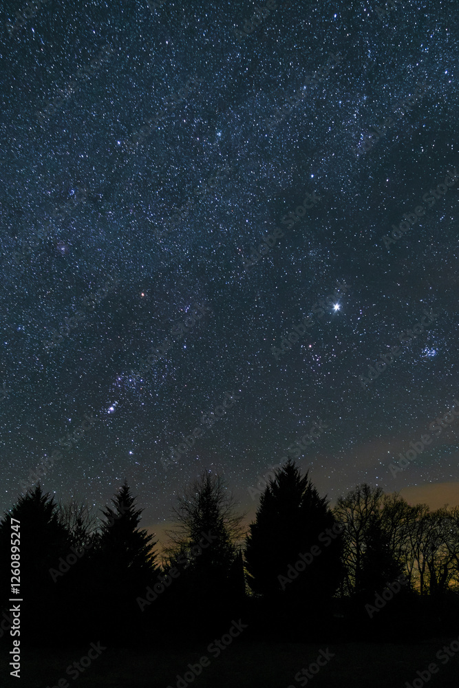 Night sky full of stars with the planets Jupiter and Mars and star, Betelgeuse, shining brightly over a woodland in the Dordogne region of France Night sky full of stars with the planets Jupiter and Mars and star, Betelgeuse, shining brightly over a woodland in the Dordogne region of France