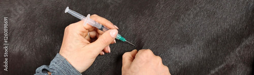 Close-up of an injection in the neck of a horse in panoramic format