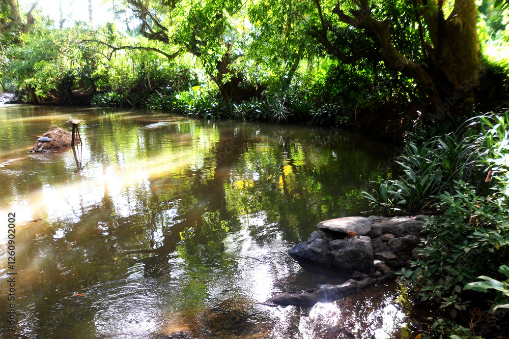 Naklejka premium River in the forest beautiful forest with River