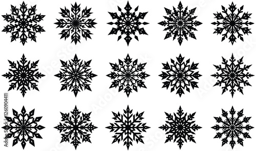 Beautiful Snowflake Design Collection