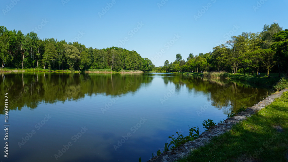 Fototapeta premium staw a w dali nic