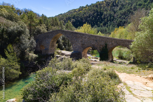 Puente medieval de Pedret sobre el río Llobregat en Berga, Cataluña, rodeado de naturaleza y montañas. photo