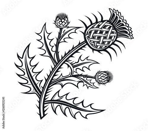 Black and white vector illustration of a thistle plant with Celtic knot pattern on flower head, isolated on transparent background