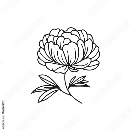 Vector illustration of a peony on a white background.
