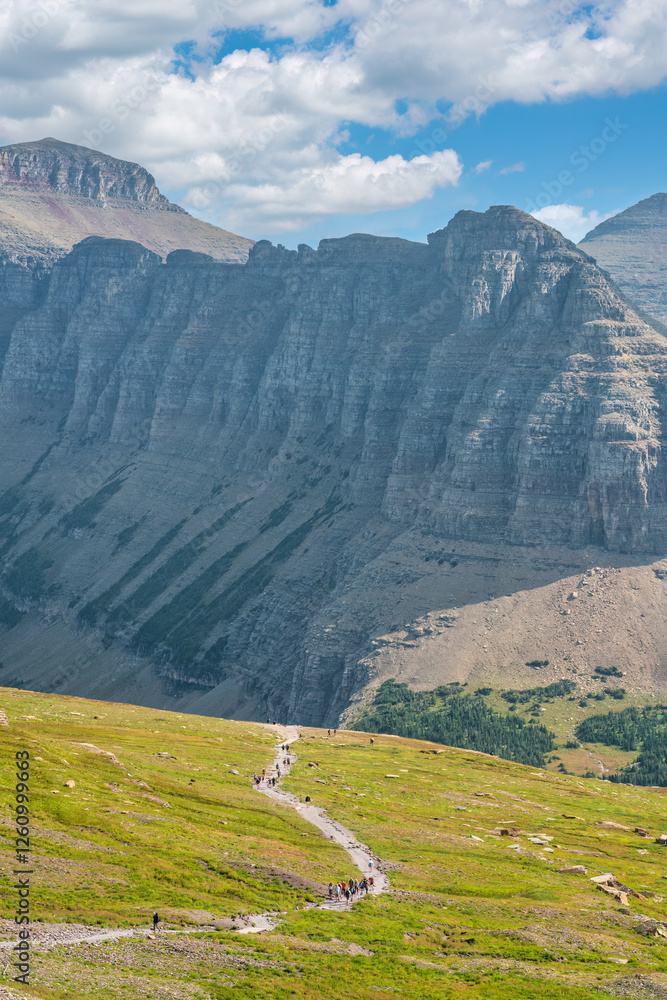 Naklejka premium Glacier National Park - View of hikers on the Hidden Lake trail from Logan Pass off the Going to the Sun Road 
