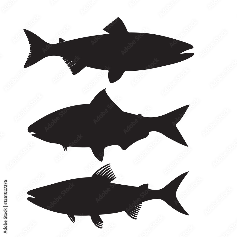 Obraz premium Silhouette of arctic char fish stock illustration, Fish vector illustration.