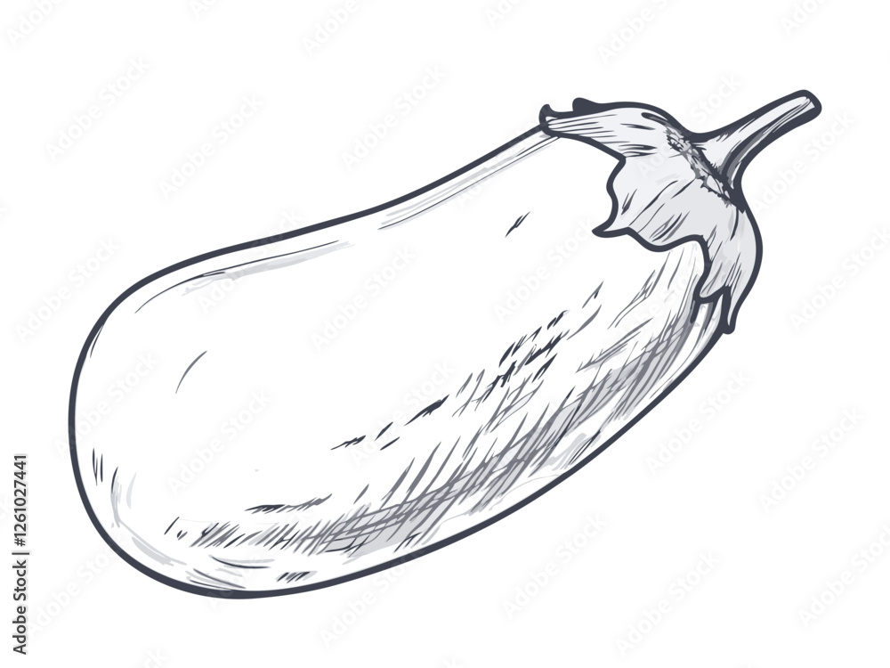 Hand-drawn sketch of an eggplant. Vegetable drawing. Detailed vintage-style illustration, perfect for packaging, branding, farmers markets, organic food labels, menus, and botanical prints. Hand-drawn sketch of an eggplant. Vegetable drawing. Detailed vintage-style illustration, perfect for packaging, branding, farmers markets, organic food labels, menus, and botanical prints.