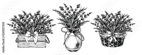 Lavender flowers and branches in the form of a bouquet in wooden boxes with a bow and in a glass jar. Graphic illustration line art hand drawn in black and white monochrome. Set of elements