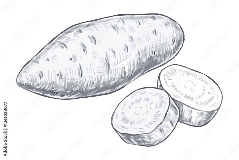 Hand-drawn sketch of a spinach leaves. Vegetable drawing. Detailed vintage-style illustration, perfect for packaging, branding, menus, farmers markets, organic food labels, botanical prints. Hand-drawn sketch of a spinach leaves. Vegetable drawing. Detailed vintage-style illustration, perfect for packaging, branding, menus, farmers markets, organic food labels, botanical prints.