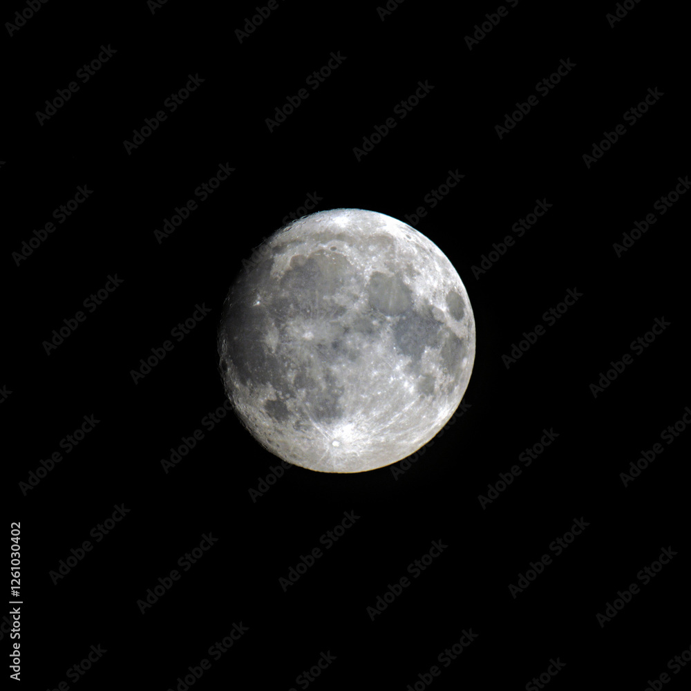 Obraz premium full moon in the night