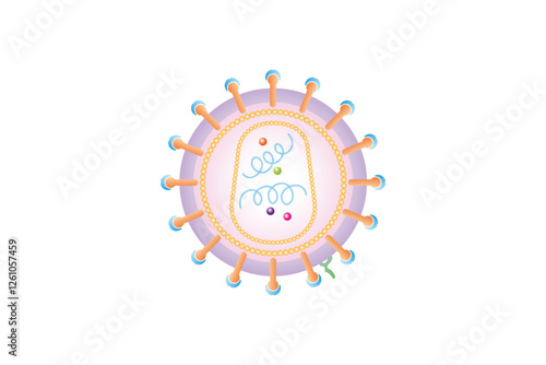 Human Immunodeficiency Virus (HIV) Structure Science Design. Vector Illustration.