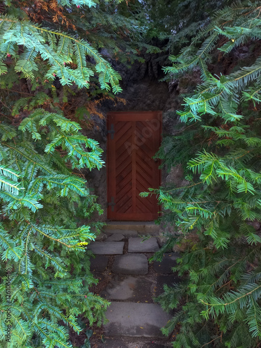 old wooden door photo