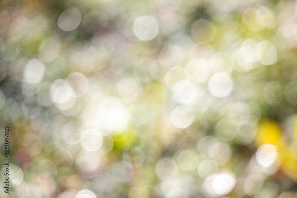 A blurry image of a green background with pink flowers A blurry image of a green background with pink flowers