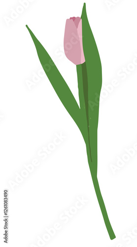 Wallpaper Mural Hand drawn pink tulip. Start spring symbol. Tender blossom with green fresh juicy leaves. Torontodigital.ca