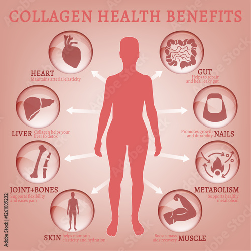 Collagen health benefits infographic. Support for skin, joints and bones