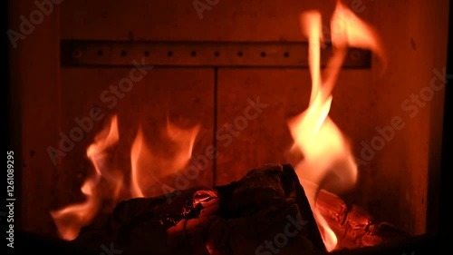 wood is burning in the fireplace. the scene is warm