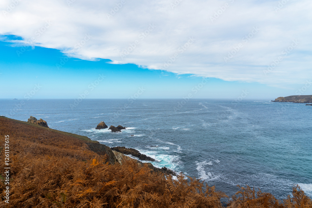 Obraz premium Vagues et écume entourent les rochers immergés de la baie des Trépassés en automne. Au premier plan, des fougères aux teintes dorées contrastent avec les falaises et la mer bleu profond de la côte bre