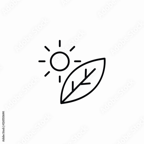 sun leaf icon sign vector