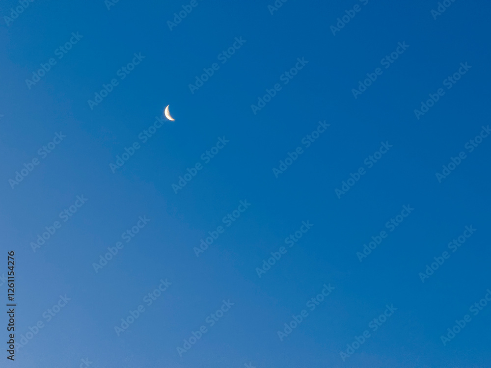 moon in the sky moon in the sky