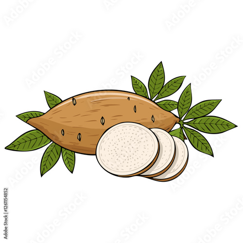 Tapioca root with leaves vector color illustration in line art style. Sketch drawing of cassava plant for making bubble tea. For packaging and design.