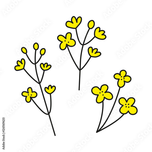 Doodle yellow rapeseed canola flowers isolated on white background.