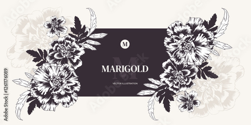 Marigold garden flowers in vector monochrome outline style. Horizontal greeting card template with bouquet and frame. Marigold flower arrangement for wedding invitation, banner, Diwali photo