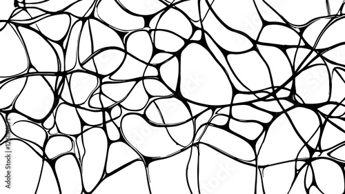 Abstract web pattern background. Interconnected lines form organic shapes. Design element decoration wallpaper. Black ink drawing on white backdrop