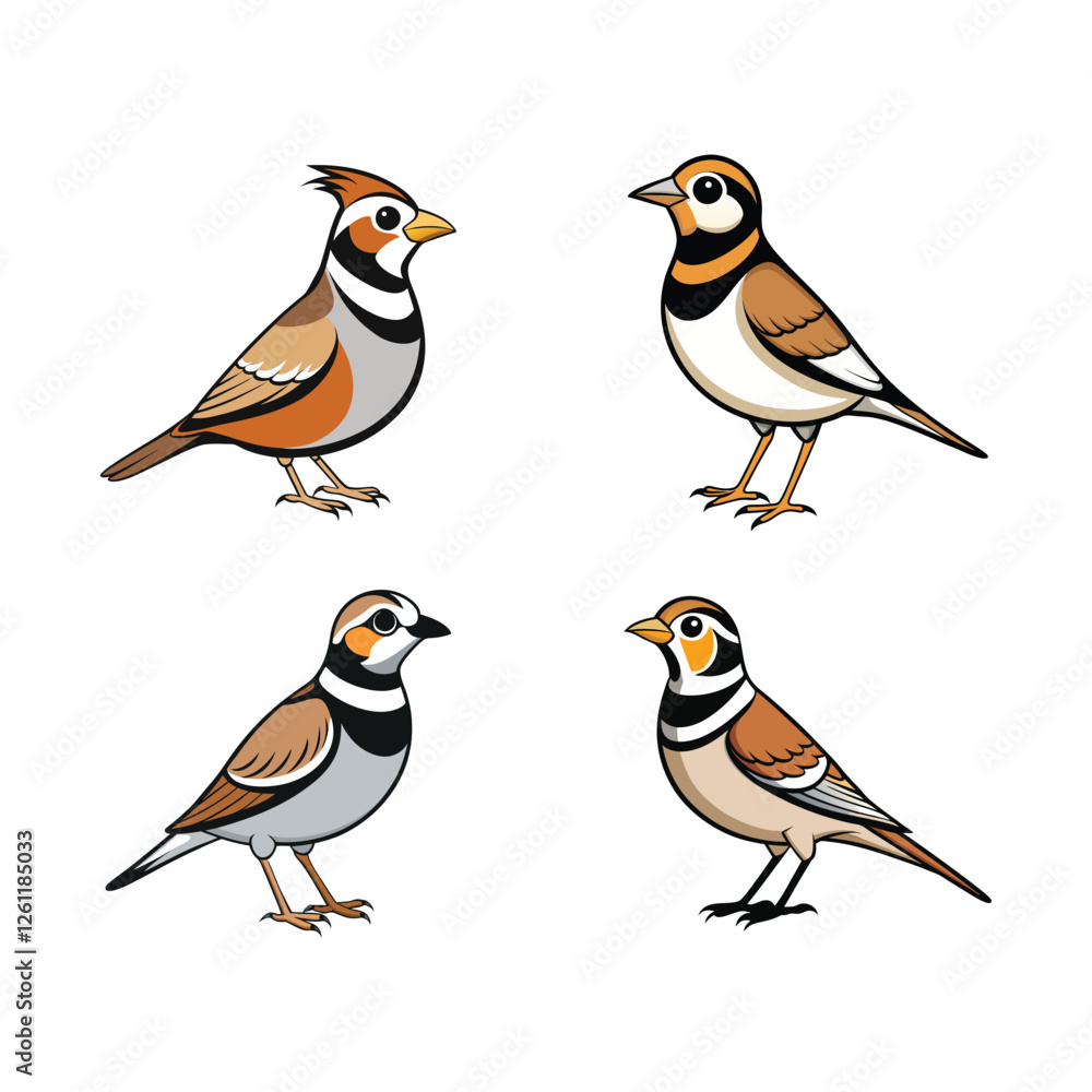 Fototapeta premium Birds Vector illustration set