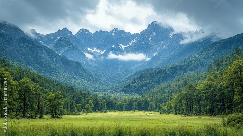 A grassy field with trees and mountains in the background A grassy field with trees and mountains in the background