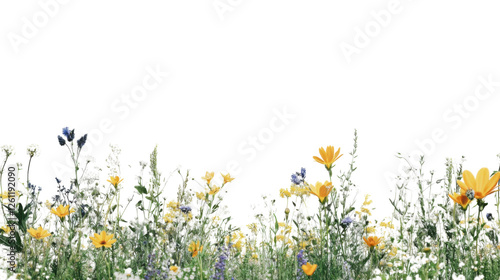 Obraz na płótnie Wildflowers and grass growing with transparent background for easy integration w salonie