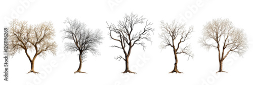 A set of Silhouette of a tree isolated on a white background.