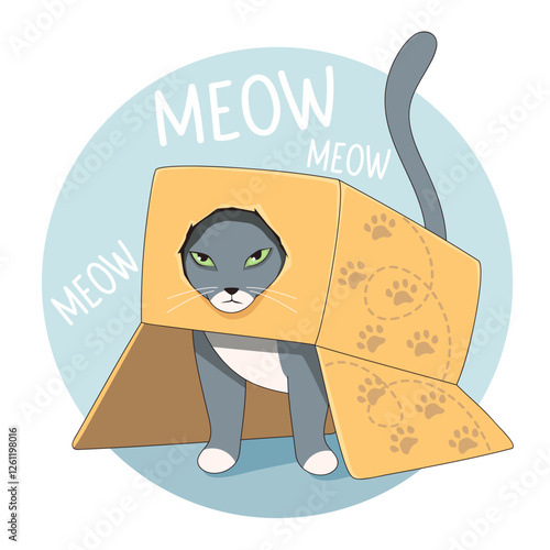 Cat play with box. Funny and cozy vector illustration.