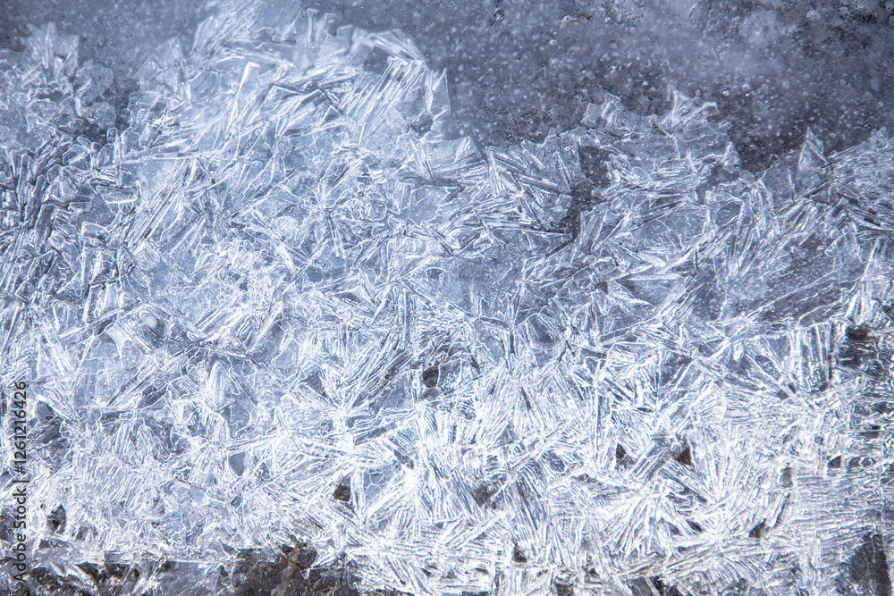 Fototapeta premium Textures and shapes created by nature in the winter