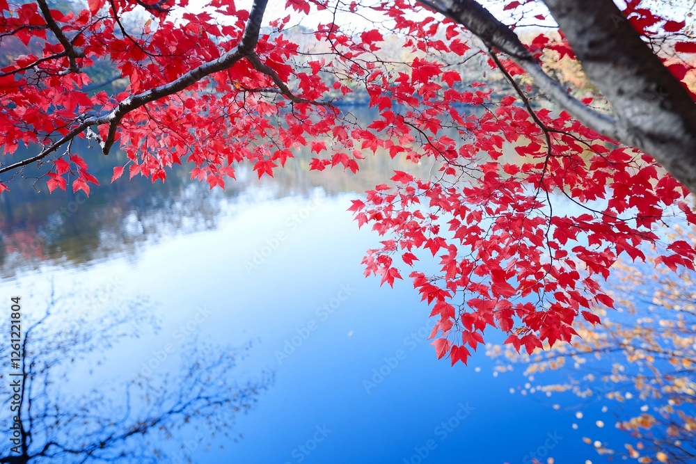 Red autumn leaves frame serene blue lake view Red autumn leaves frame serene blue lake view