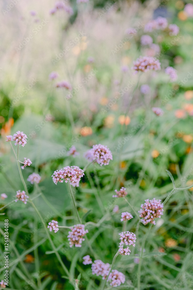 Obraz premium Beautiful cluster of delicate pink flowers blooming in a lush garden during springtime