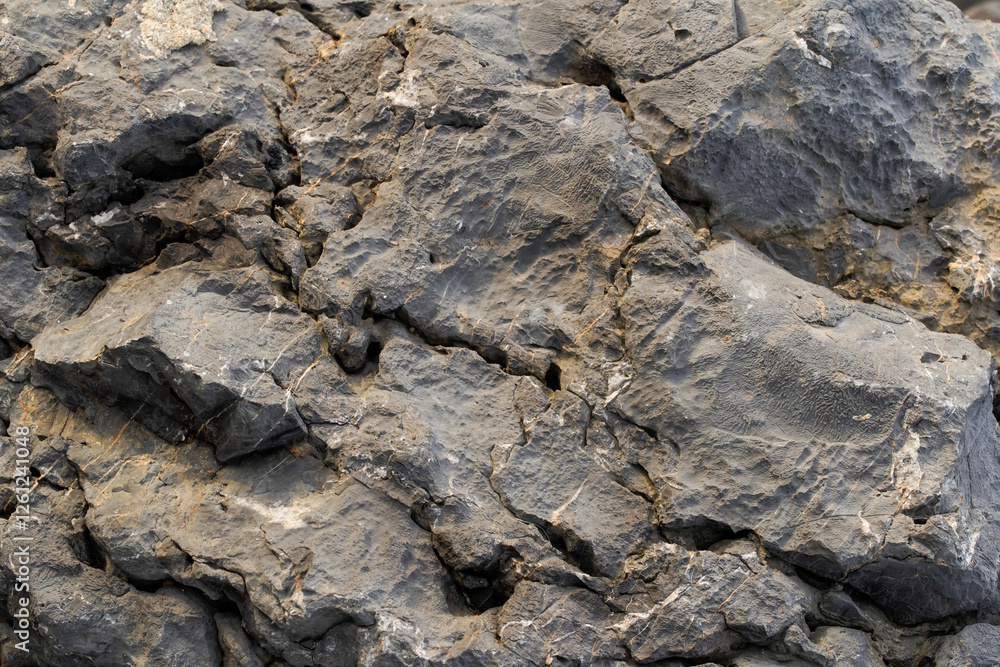 Close-Up of Rock Surface for 3D Game Modeling Close-Up of Rock Surface for 3D Game Modeling