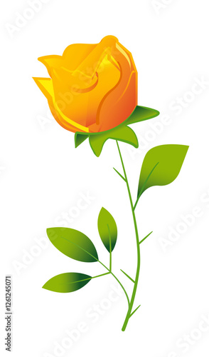 rosa