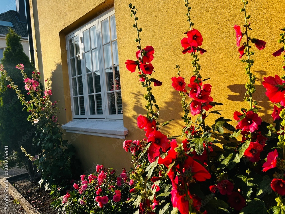 Naklejka premium window with flowers