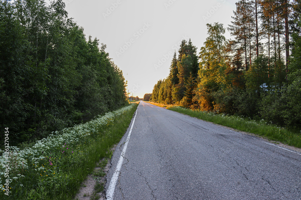 Fototapeta premium A rural road during sunset hours