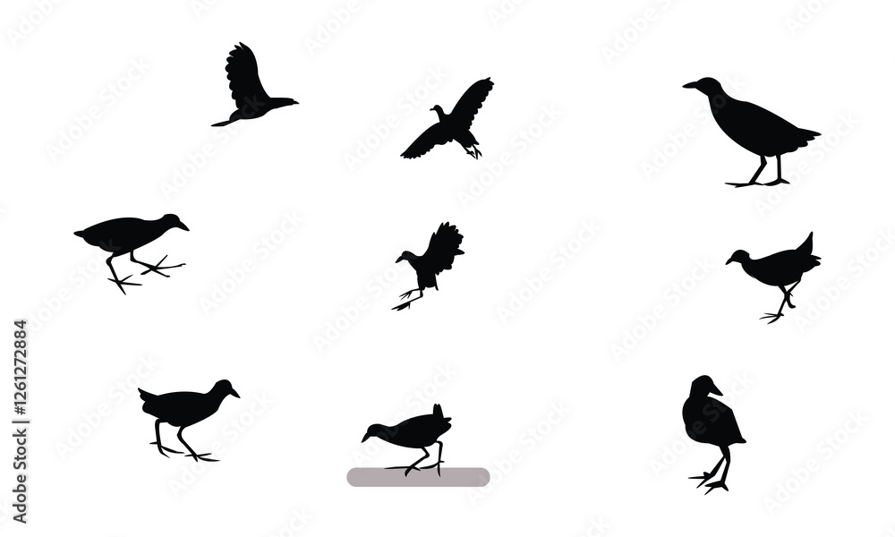 Fototapeta premium African crake bird Silhouette Design And Vector Illustration. 