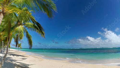 Wallpaper Mural A beautiful tropical beach with golden sand, turquoise water, and tall palm trees under a clear blue sky. Torontodigital.ca