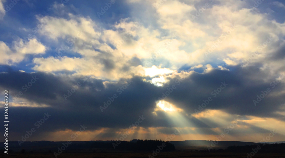 Shafts of light Shafts of light