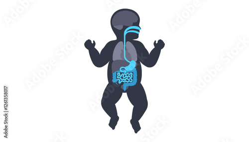 Human internal organs