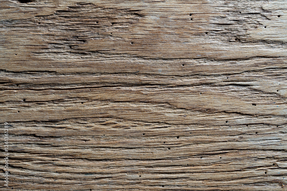 Rustic weathered barn wood background with termites holes. Vintage brown wooden barn oak with cracks and woodgrain. Old wood with nature texture and pattern. Weathered barn timber Rustic weathered barn wood background with termites holes. Vintage brown wooden barn oak with cracks and woodgrain. Old wood with nature texture and pattern. Weathered barn timber