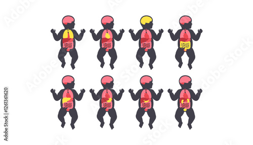 Human internal organs