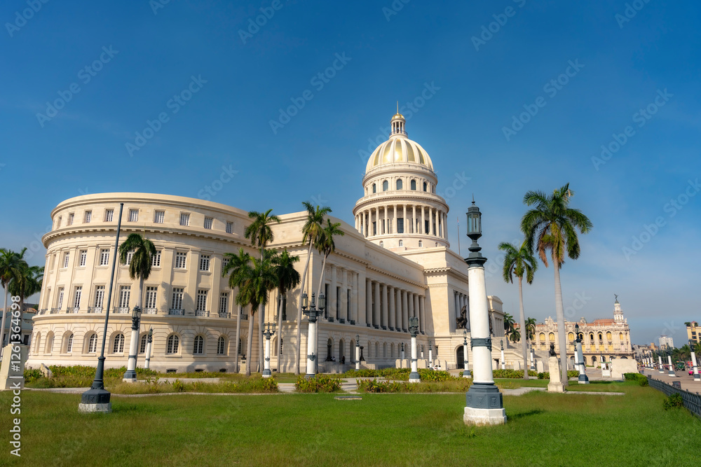 Obraz premium El Capitolio in Havana, Cuba, stands under a clear blue sky, surrounded by palm trees and green gardens, showcasing its grand neoclassical architecture. 