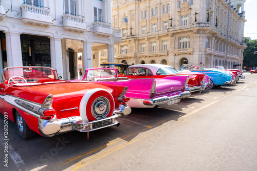 Photography A row of brightly colored classic American cars, including red, pink, and blue convertibles, parked in Havana, Cuba, near colonial buildings