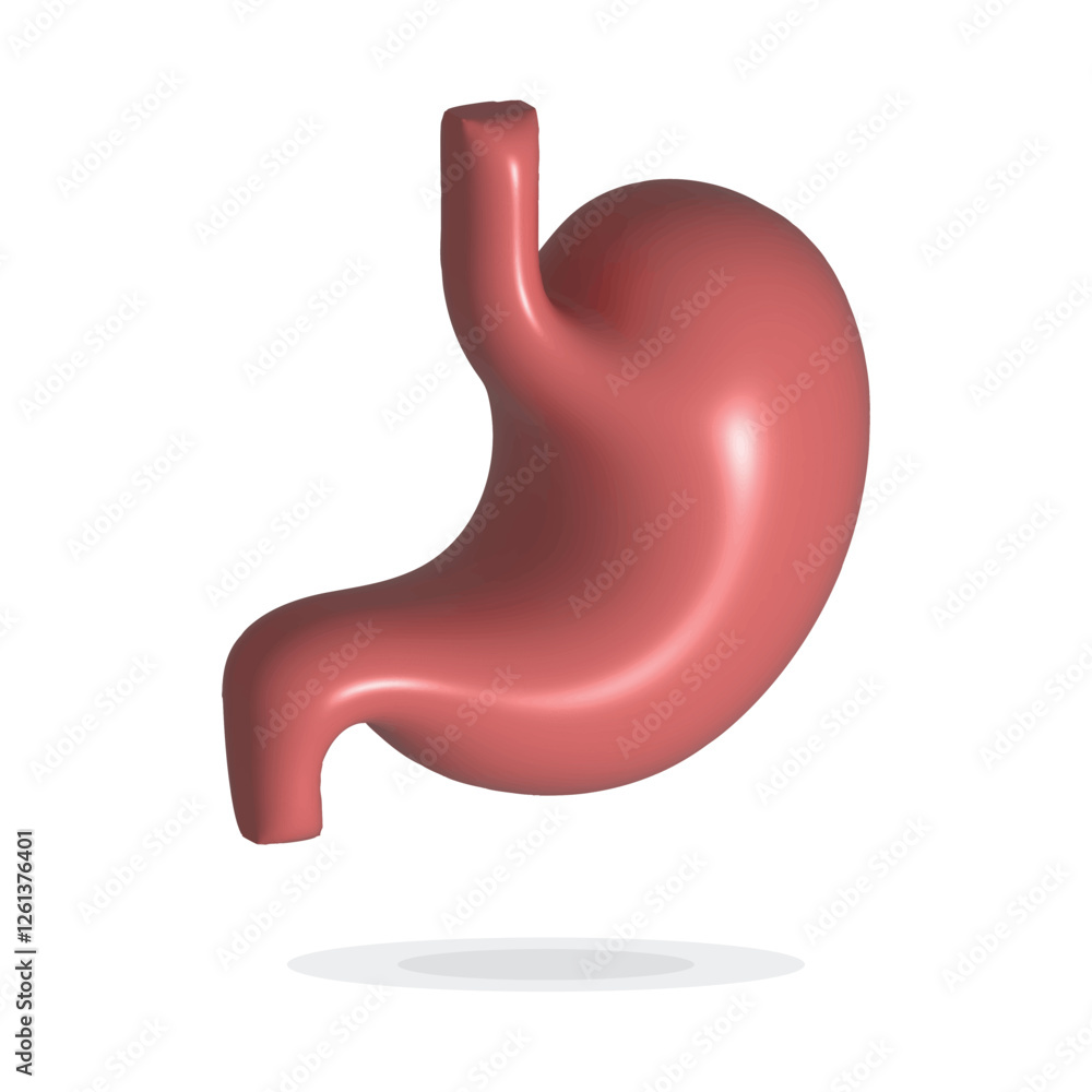 Human Stomach 3d render. Internal organ, 3d human gastrointestinal tract. Stomach pain and heartburn symbol. Digestive disease. Gastritis and acid reflux concept.Vector illustration isolated on white. Human Stomach 3d render. Internal organ, 3d human gastrointestinal tract. Stomach pain and heartburn symbol. Digestive disease. Gastritis and acid reflux concept.Vector illustration isolated on white.